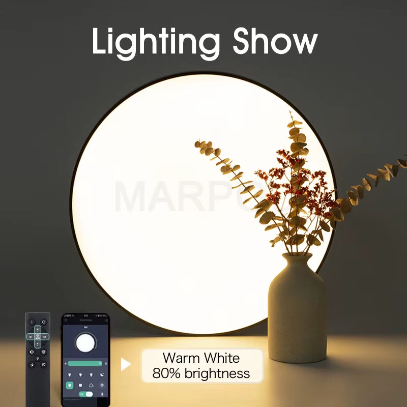 Smart Ceiling Lamp Led Lamp for Bedroom Ceiling Lights with Remote Control Dimmable Led Lights for Room Living Room
